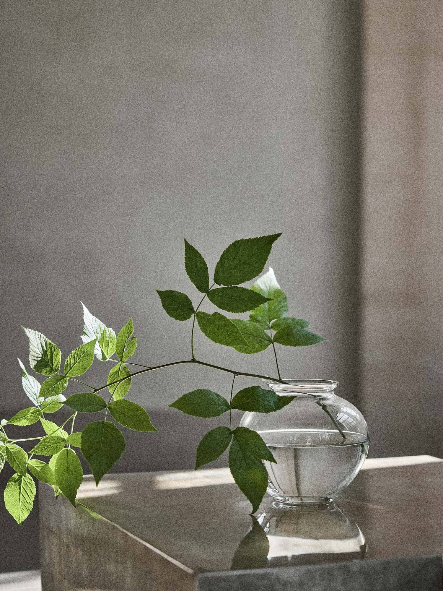 Velino 화병, Clear, Ø16.5x14.5 cm Tell Me More | 텔미모어