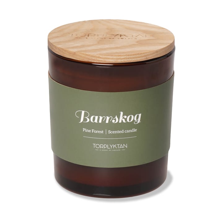 Northern 우즈 향초 310 g, Pine Forest Torplyktan | 토플릭탄