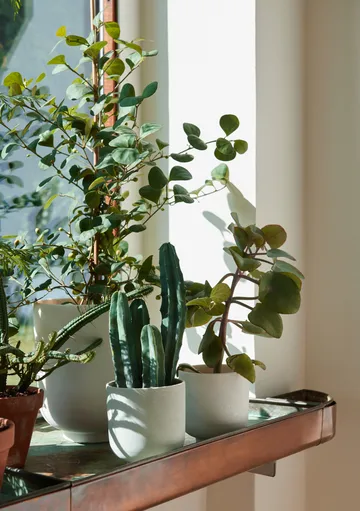 콜렉트 SC69 화분 스몰 Ø12 cm - Milk - &Tradition | 앤트레디션