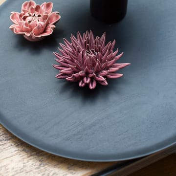 Shizu 트레이 망고나무 50 cm - Black - URBAN NATURE CULTURE | 어반네이처컬처