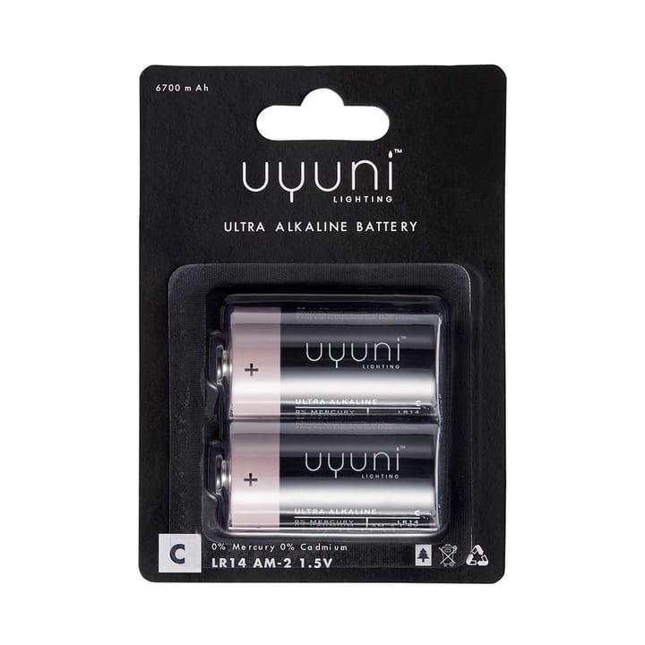 Uyuni 배터리 2개 세트 - C - Uyuni Lighting | 우유니 라이팅