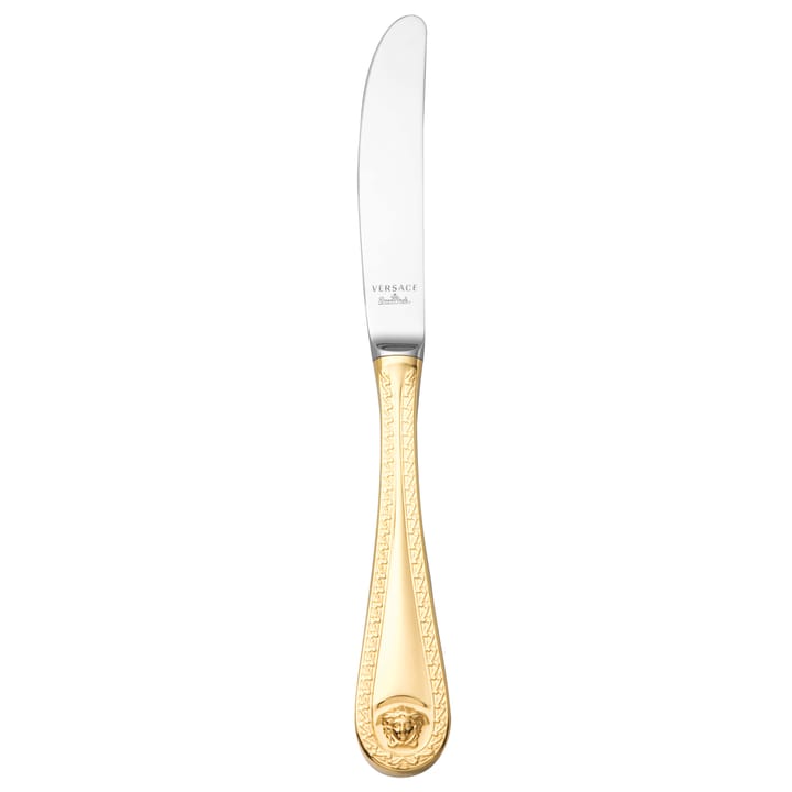베르사체 메두사 나이프 gold plated - 22.5 cm - Versace | 베르사체