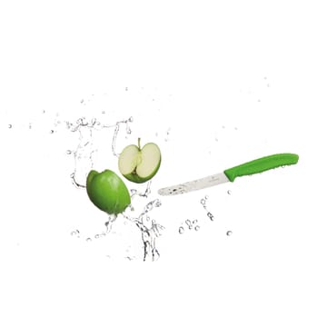 스위스 클래식 토마토 나이프 11 cm - Green - Victorinox | 빅토리녹스
