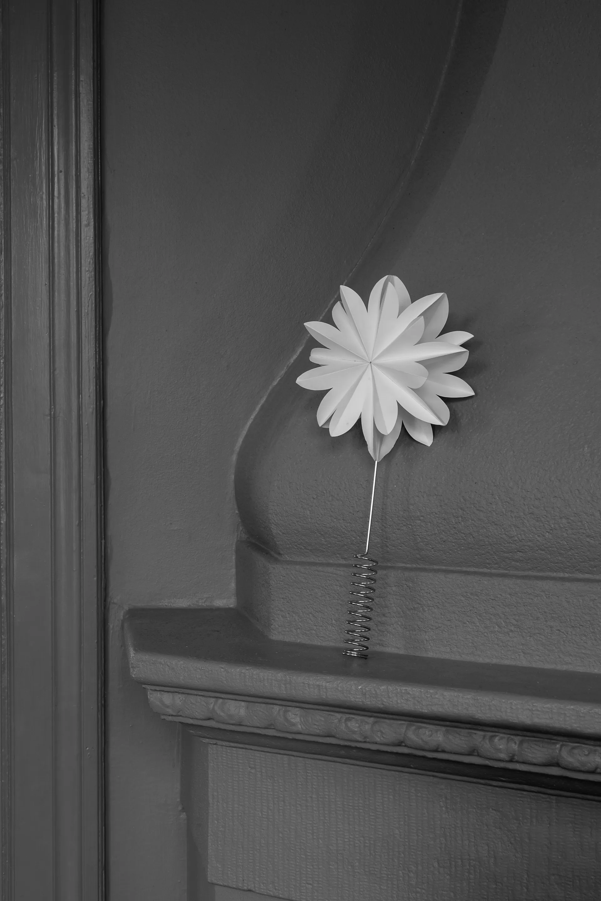 칼라 트리 탑 스타 35 cm, White Watt & Veke | 와트앤베케