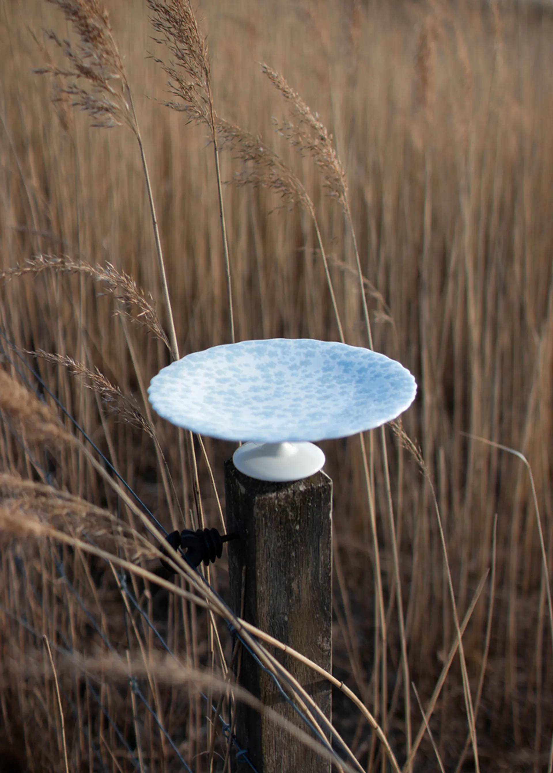 슬로프블룸 케이크 플래터 Ø21 cm, Blue Wik & Walsøe | 윅 & 왈쉐