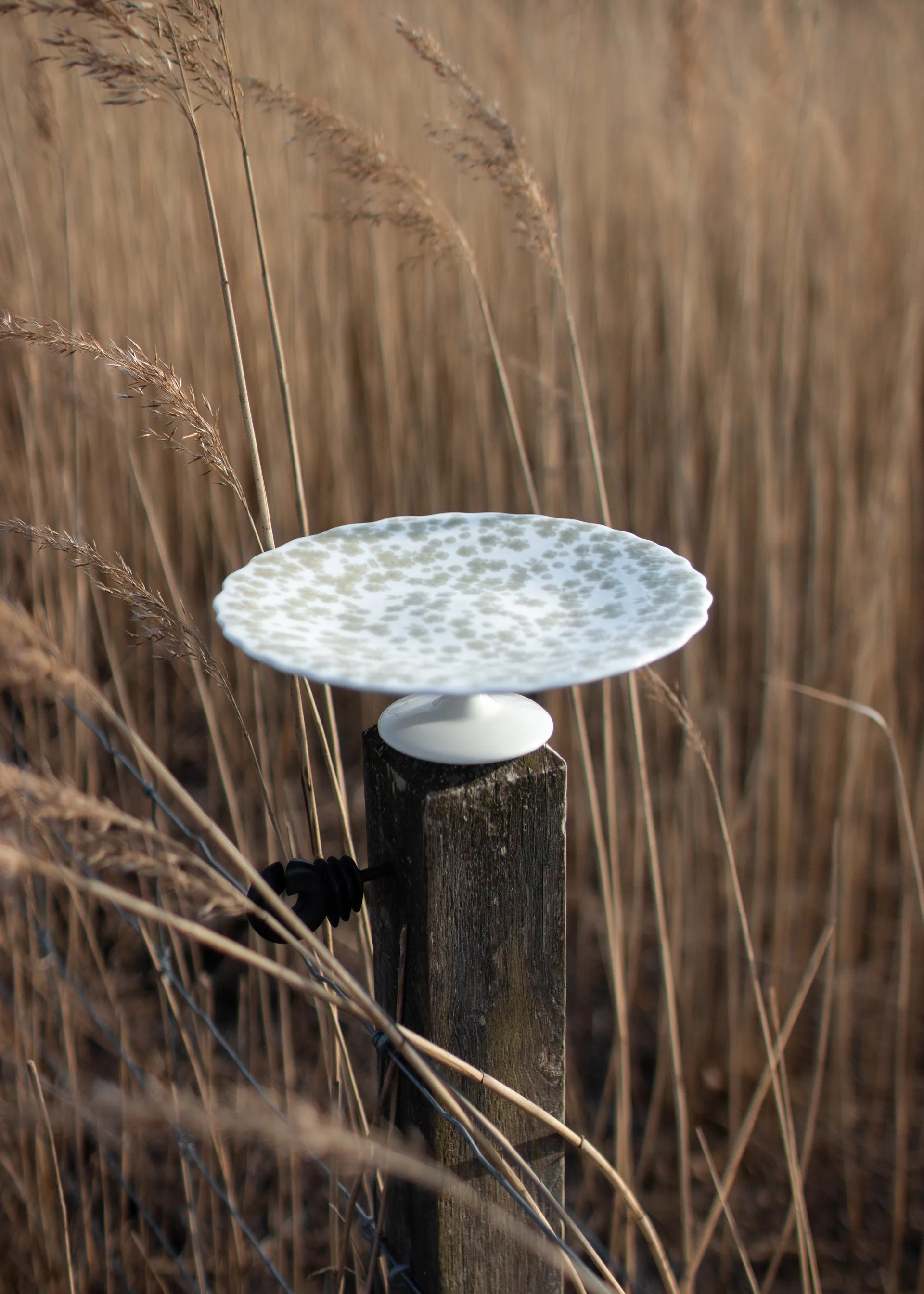 슬로프블룸 케이크 플래터 Ø21 cm, Green Wik & Walsøe | 윅 & 왈쉐