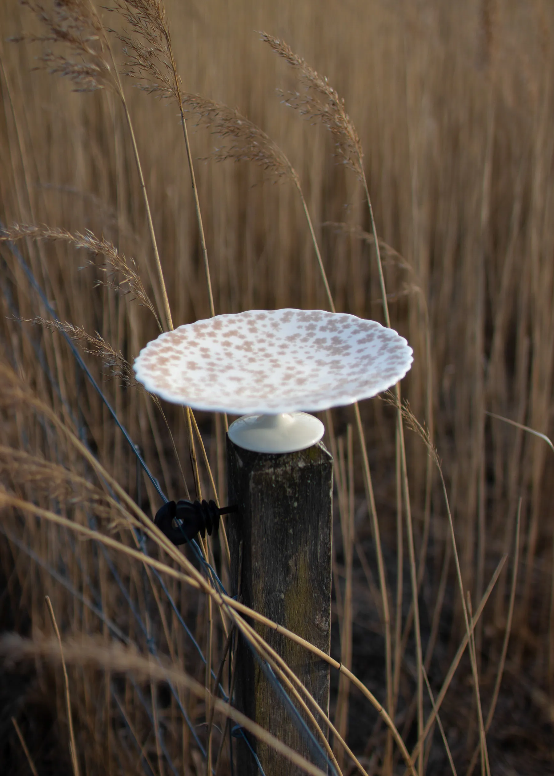 슬로프블룸 케이크 플래터 Ø21 cm, Pink Wik & Walsøe | 윅 & 왈쉐