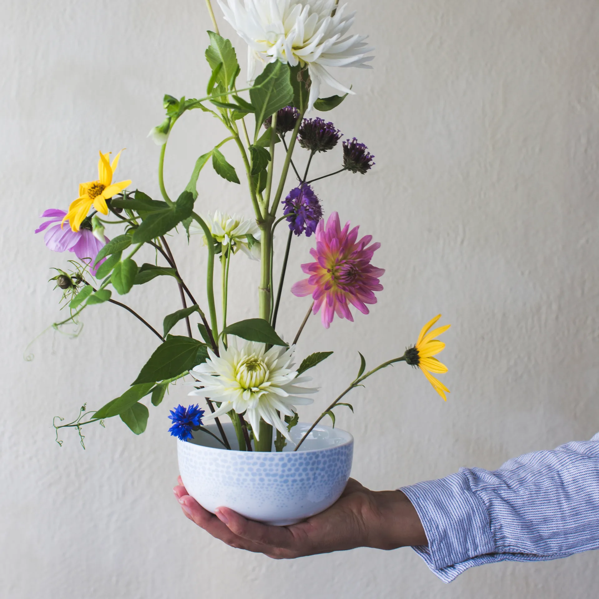 오션 보울 50 cl, Ocean Wik & Walsøe | 윅 & 왈쉐