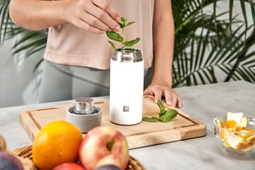 즈윌링 보온 플래시 0.42 L - Silver-white - Zwilling | 즈윌링