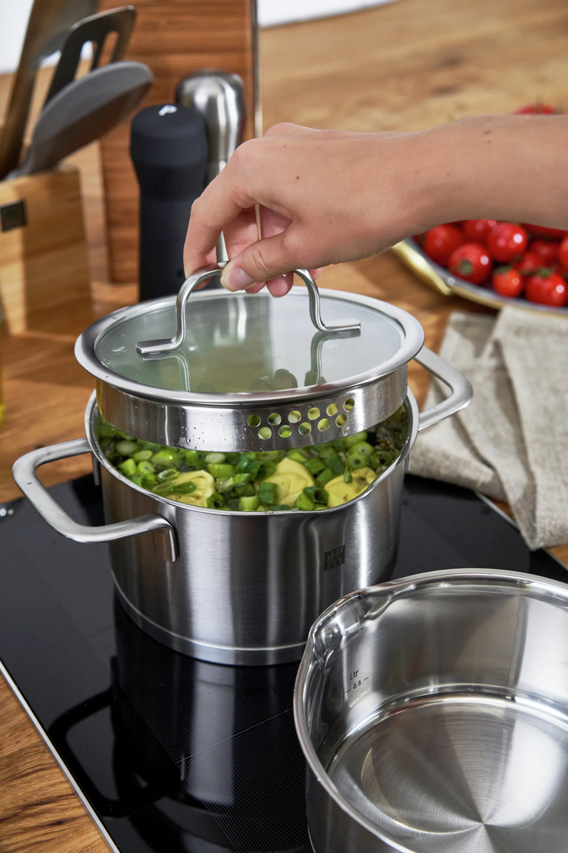 즈윌링 트루플로우 소스팬 세트 5 피스, Silver Zwilling | 즈윌링